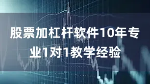 股票加杠杆软件10年专业1对1教学经验