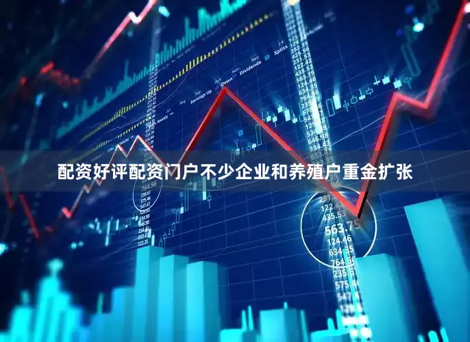 配资好评配资门户不少企业和养殖户重金扩张