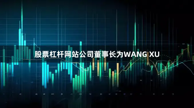 股票杠杆网站公司董事长为WANG XU