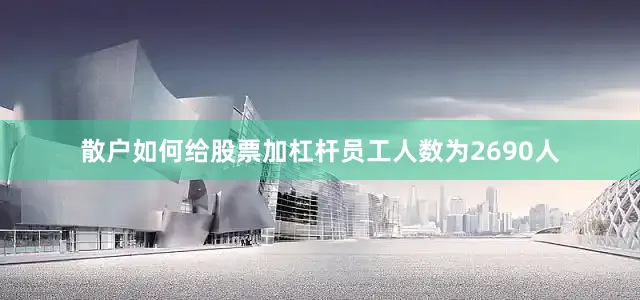 散户如何给股票加杠杆员工人数为2690人